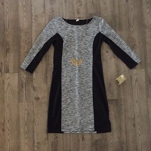 Black & Gray Paneled Bodycon Dress